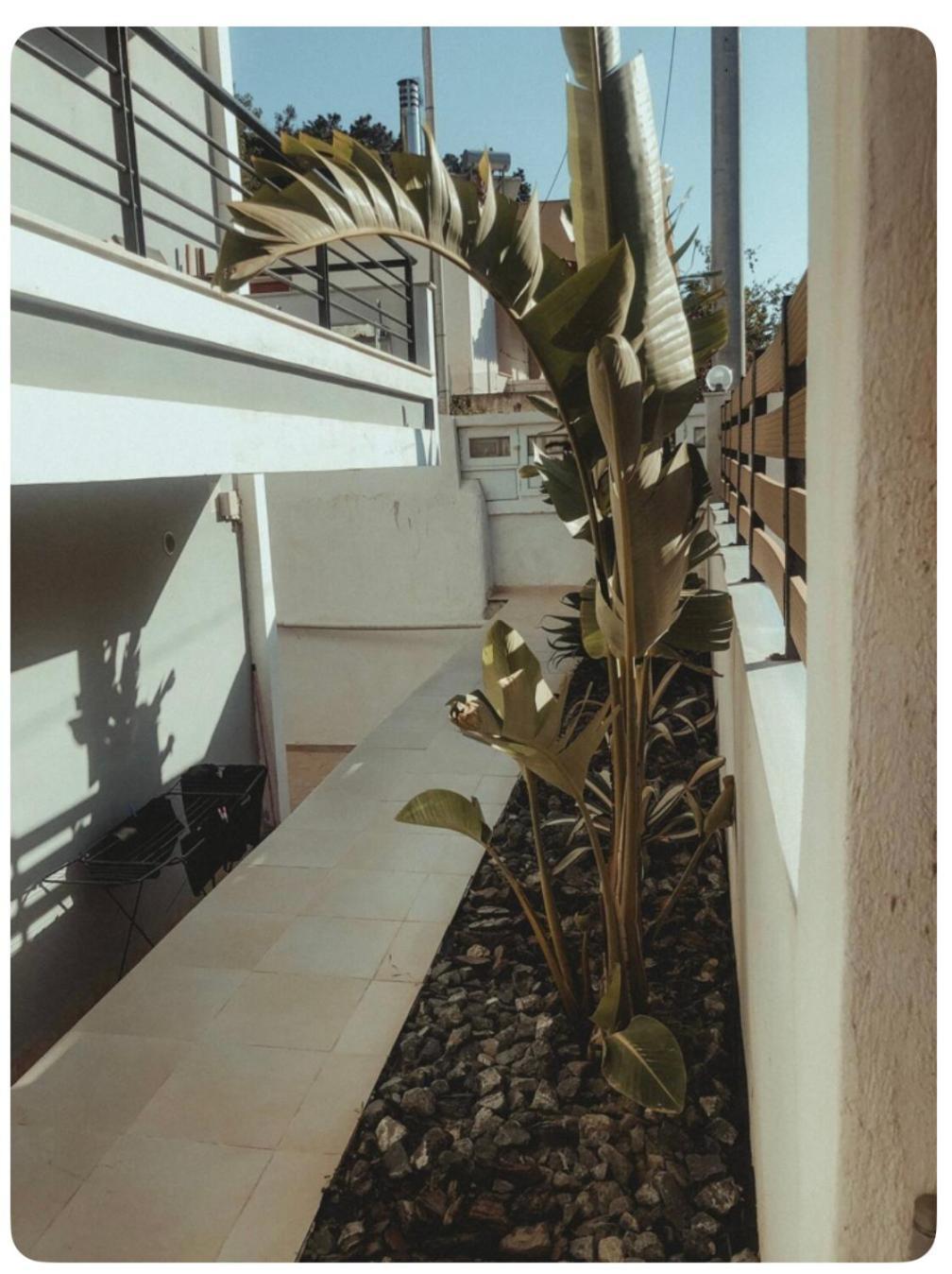 Rosemary Modern House In The City Center Corinth Екстер'єр фото